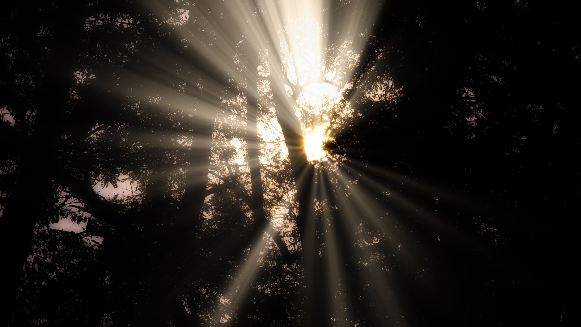 Leo: THE NEXT LOVE TWIST WILL CATCH YOU OFF GUARD — Here’s What the Stars Reveal - content image