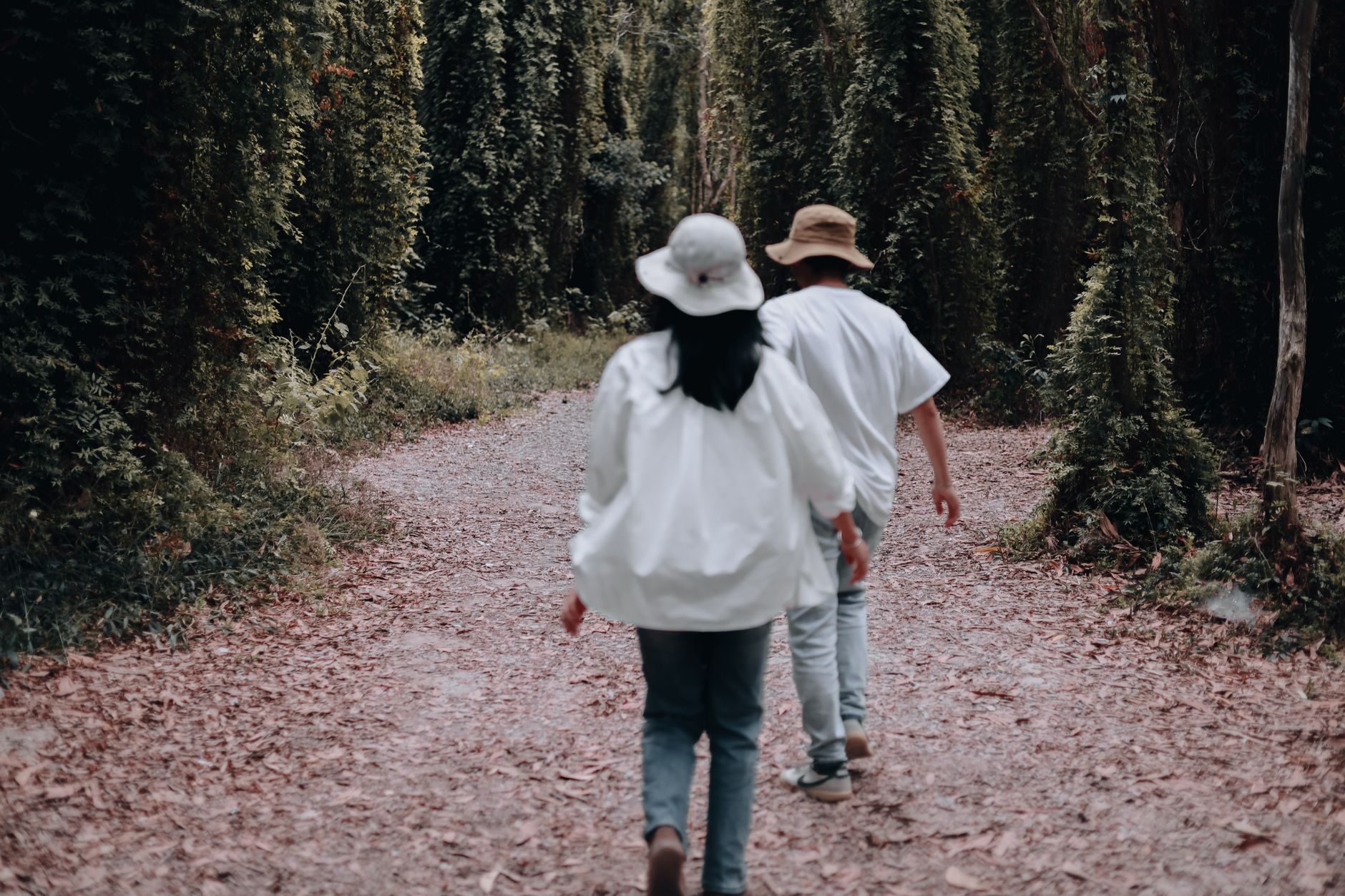 Cancer: THE NEXT LOVE TWIST WILL CATCH YOU OFF GUARD — Here’s What the Stars Reveal - content image