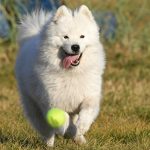 357787_profimedia0812221662_ff