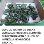 ĆĆ1