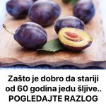 ŠLJ2