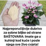 grdg