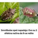 PSIHOLOG-SAVJETUJE-KAKO-PREPOZNATI-ZLE-LJUDE-Samo-pazljivo-upratite-njihovu-reakciju-na-1-STVAR-2024-10-24T093401.214