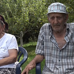 Untitled-10-800×445 (1)