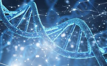 Uradili smo DNK jer deca imaju tamnu kožu, a kad su stigli rezultati zanemeli smo od šoka: Saznali smo da smo u incestu