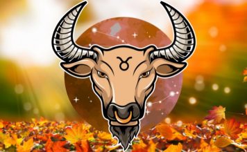 Bik: Veliki horoskop za novembar, saznaj šta te očekuje!