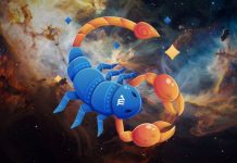 ŠKORPIJA – NEOČEKIVANE VESTI STIŽU: Bićete veoma iznenađeni kada saznate šta vam se sprema!