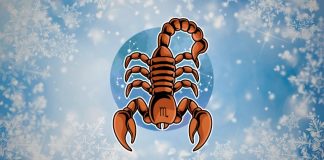 ŠKORPIJA – SUDBINA JE VEĆ SVE ODLUČILA: Bićete u šoku kada shvatite šta vam je namenjeno!