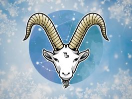 JARAC – SUDBINA JE VEĆ SVE ODLUČILA: Bićete u šoku kada shvatite šta vam je namenjeno!