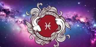 RIBE – KADA SE ISTINA OTKRIJE: Sledi saznanje koje niste očekivali!