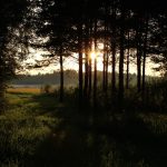 Ovan: Spremi maramice – zaplakаćeš, a nećeš ni znati zašto! Ovo moraš znati! – content image